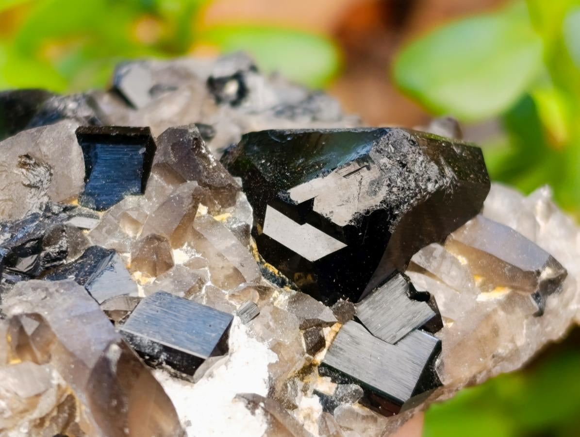 Natural Schorl Black Tourmaline Specimens x 6 From Erongo, Namibia