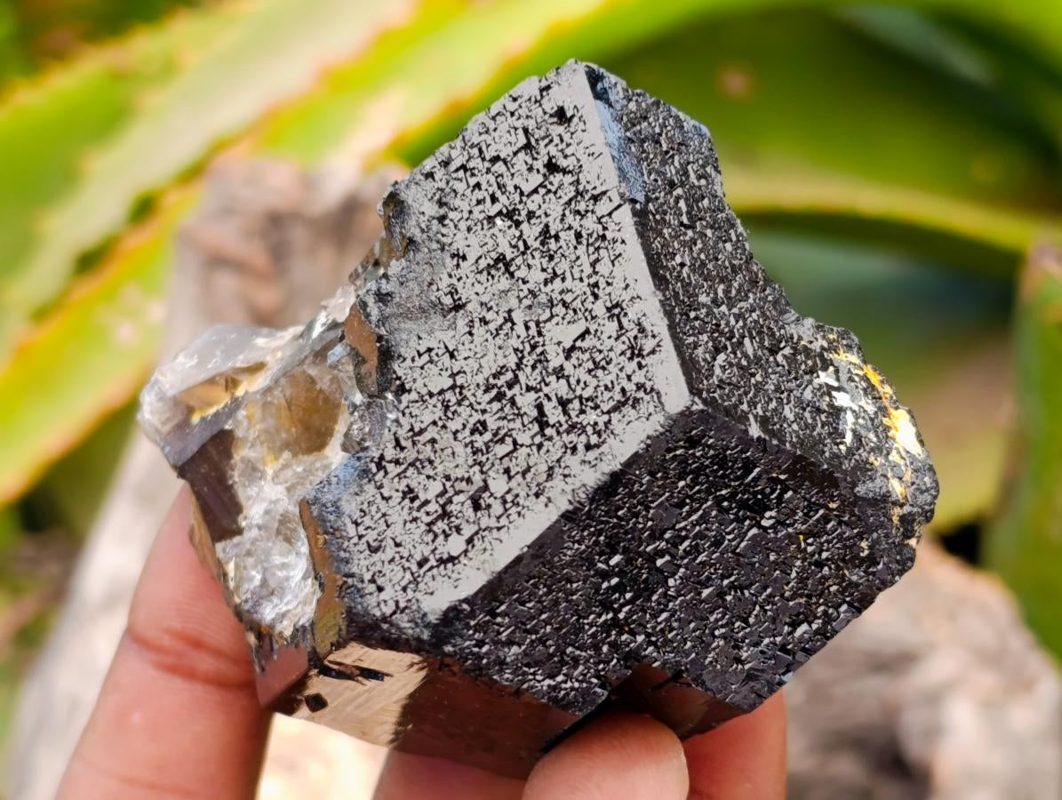 Natural Schorl Black Tourmaline Specimens x 6 From Erongo, Namibia