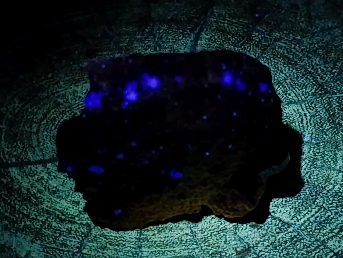 Natural Schorl Black Tourmaline Specimens x 6 From Erongo, Namibia