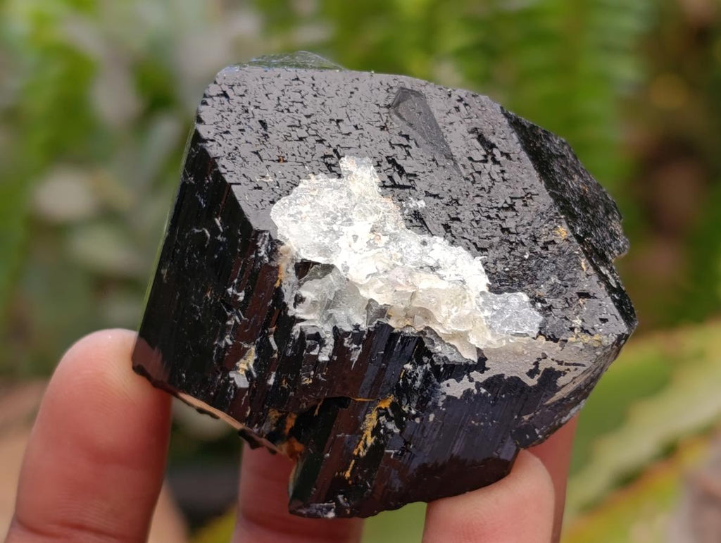 Natural Schorl Black Tourmaline Specimens x 6 From Erongo, Namibia