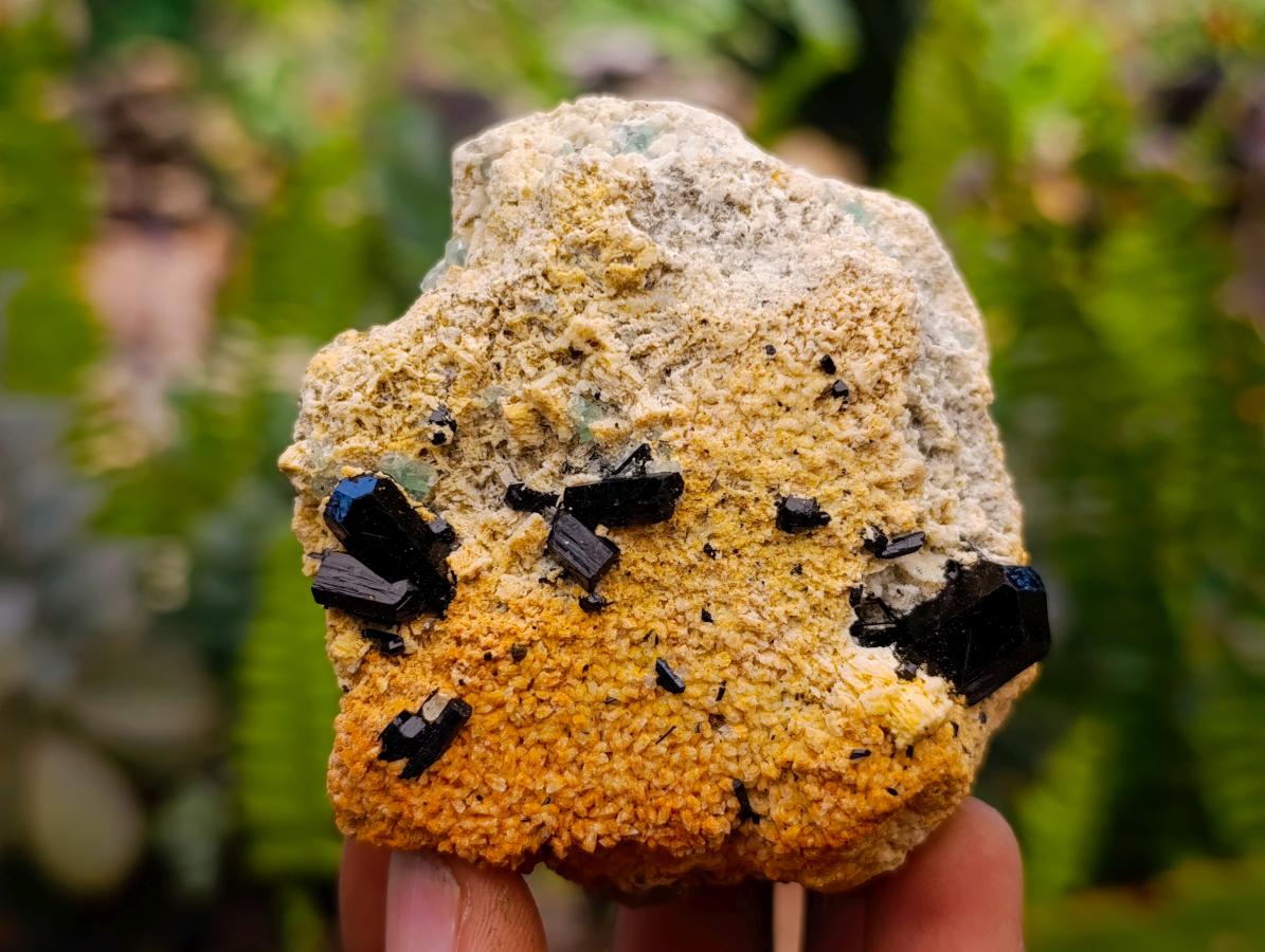 Natural Schorl Black Tourmaline Specimens x 6 From Erongo, Namibia