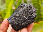 Natural Schorl Black Tourmaline Specimens x 6 From Erongo, Namibia