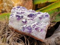 Natural Purple Cubic Fluorite On White Matrix Specimens x 6 From Khorixas, Namibia