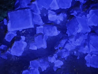 Natural Purple Cubic Fluorite On White Matrix Specimens x 6 From Khorixas, Namibia