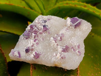 Natural Purple Cubic Fluorite On White Matrix Specimens x 6 From Khorixas, Namibia
