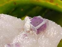 Natural Purple Cubic Fluorite On White Matrix Specimens x 6 From Khorixas, Namibia