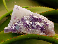 Natural Purple Cubic Fluorite On White Matrix Specimens x 6 From Khorixas, Namibia