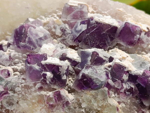 Natural Purple Cubic Fluorite On White Matrix Specimens x 6 From Khorixas, Namibia