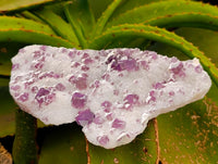 Natural Purple Cubic Fluorite On White Matrix Specimens x 6 From Khorixas, Namibia