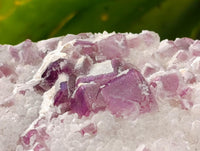 Natural Purple Cubic Fluorite On White Matrix Specimens x 6 From Khorixas, Namibia