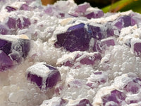 Natural Purple Cubic Fluorite On White Matrix Specimens x 6 From Khorixas, Namibia