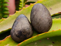 Polished Basalt Pharaoh Stone Galets x 17 From Iron Duke Mine, Zimbabwe