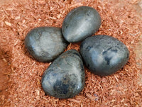 Polished Basalt Pharaoh Stone Galets x 17 From Iron Duke Mine, Zimbabwe