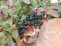Natural Silky Ball Malachite and Drusy Quartz On Dolomite Matrix Specimens x 2 From Mindingi Mine, Kambove, Congo