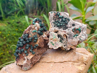 Natural Silky Ball Malachite and Drusy Quartz On Dolomite Matrix Specimens x 2 From Mindingi Mine, Kambove, Congo