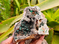 Natural Silky Ball Malachite and Drusy Quartz On Dolomite Matrix Specimens x 2 From Mindingi Mine, Kambove, Congo