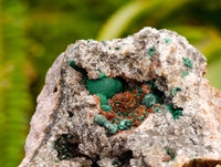 Natural Silky Ball Malachite and Drusy Quartz On Dolomite Matrix Specimens x 2 From Mindingi Mine, Kambove, Congo