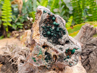 Natural Silky Ball Malachite and Drusy Quartz On Dolomite Matrix Specimens x 2 From Mindingi Mine, Kambove, Congo