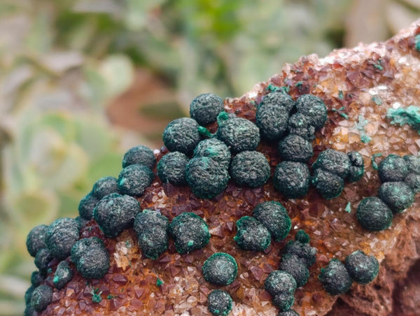 Natural Silky Ball Malachite and Drusy Quartz On Dolomite Matrix Specimens x 2 From Mindingi Mine, Kambove, Congo