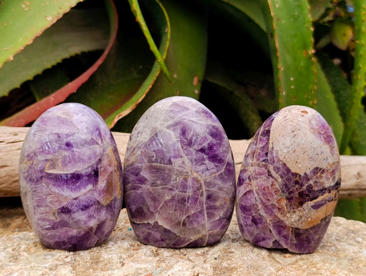 Polished Purple Chevron Amethyst Standing Free Form x 6 From Madagascar