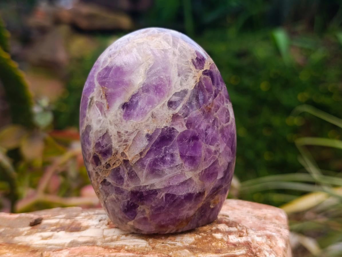 Polished Purple Chevron Amethyst Standing Free Form x 6 From Madagascar