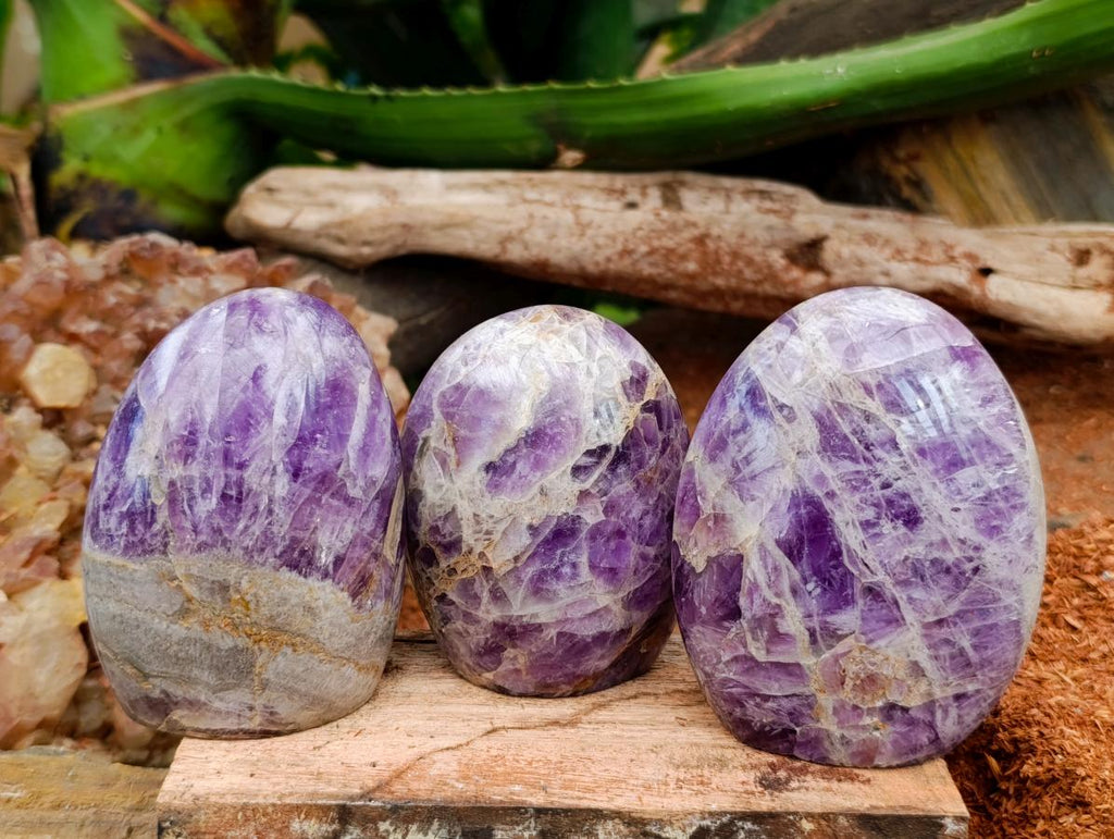 Polished Purple Chevron Amethyst Standing Free Form x 6 From Madagascar
