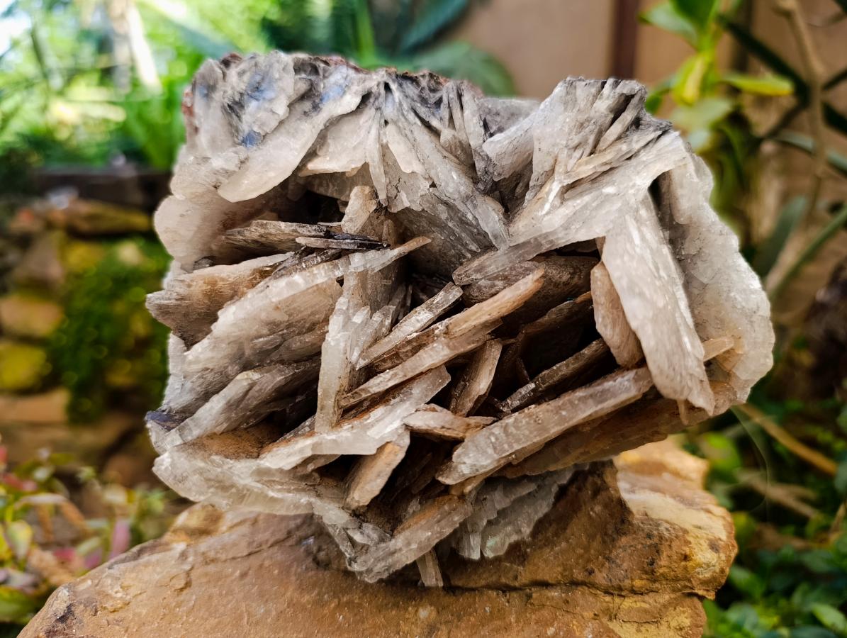 Natural Rare Bladed Barite Specimen x 1 From Tenke Fungurume, Congo