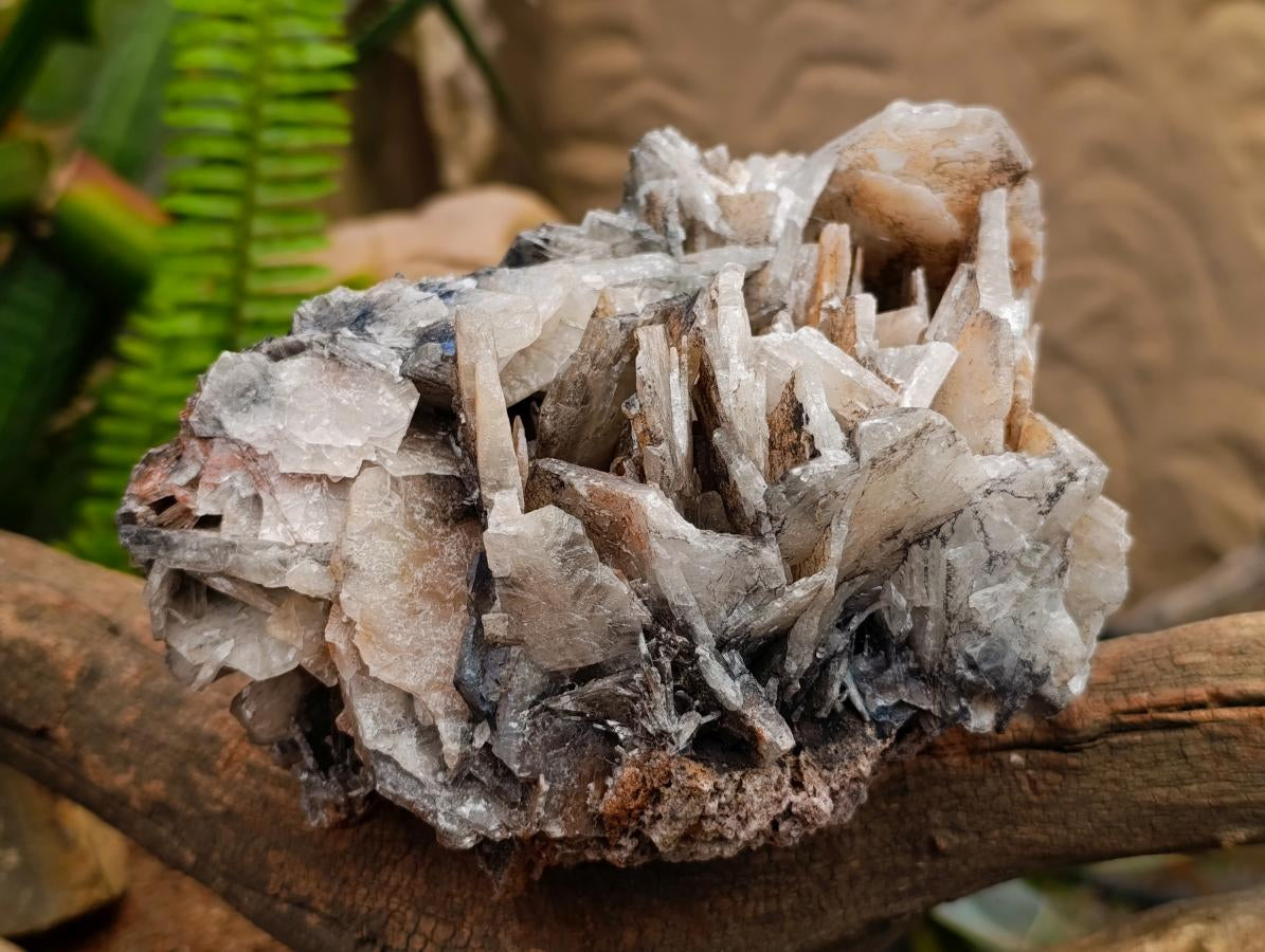 Natural Rare Bladed Barite Specimen x 1 From Tenke Fungurume, Congo