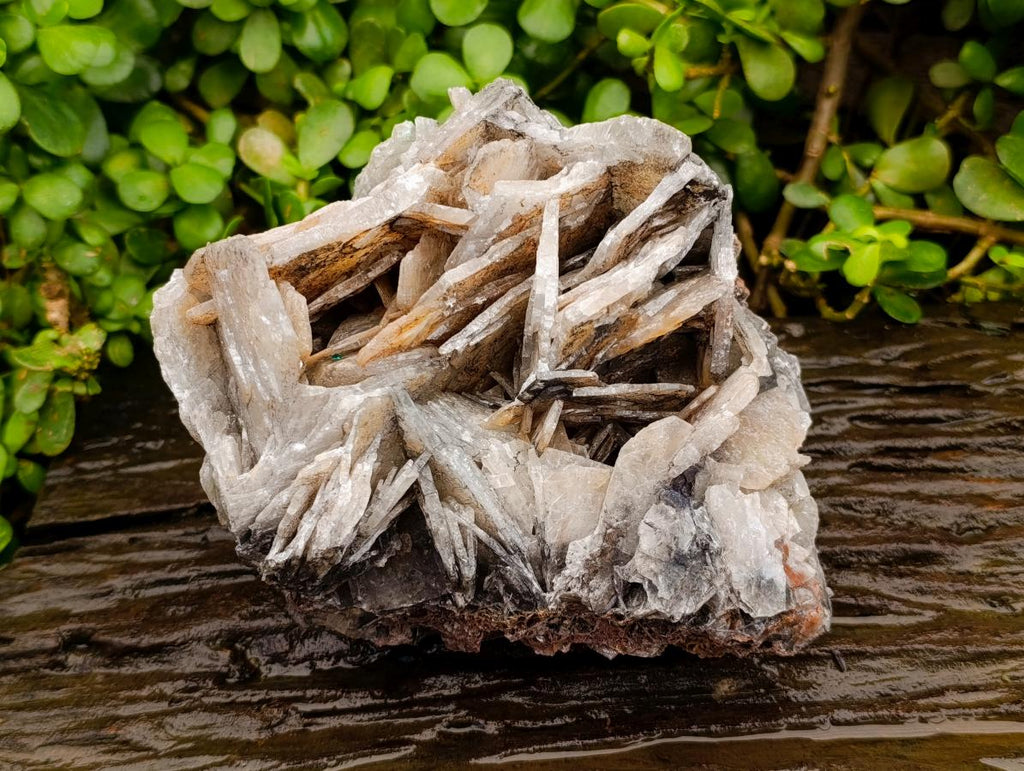 Natural Rare Bladed Barite Specimen x 1 From Tenke Fungurume, Congo