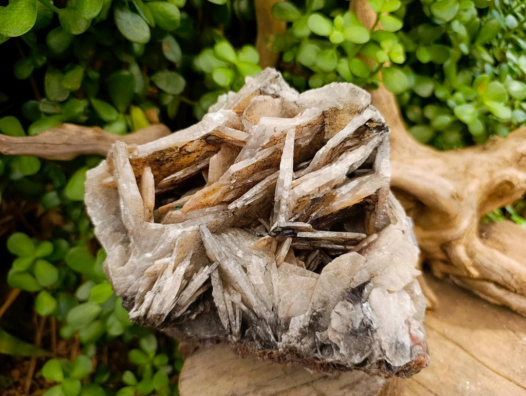 Natural Rare Bladed Barite Specimen x 1 From Tenke Fungurume, Congo