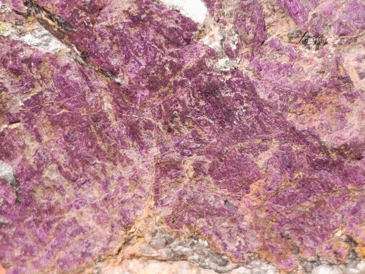 Polished Silky Matt Metallic Purpurite Slices x 6 From Erongo, Namibia