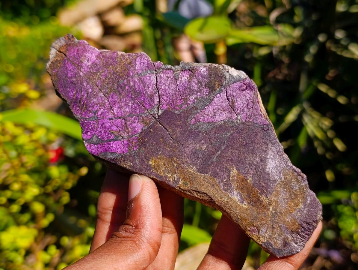 Polished Silky Matt Metallic Purpurite Slices x 6 From Erongo, Namibia