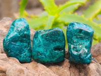 Polished Dioptase Free Forms x 35 From Likasi, Congo