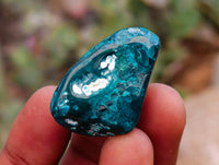 Polished Dioptase Free Forms x 35 From Likasi, Congo