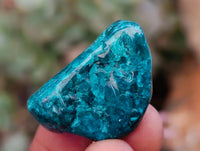 Polished Dioptase Free Forms x 35 From Likasi, Congo