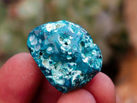 Polished Dioptase Free Forms x 35 From Likasi, Congo
