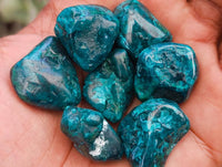 Polished Dioptase Free Forms x 35 From Likasi, Congo