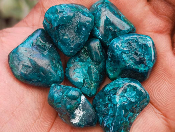 Polished Dioptase Free Forms x 35 From Likasi, Congo