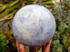 Polished Large Blue Calcite Sphere with Wood Stand x 1 From Madagascar