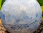Polished Large Blue Calcite Sphere with Wood Stand x 1 From Madagascar