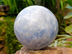 Polished Large Blue Calcite Sphere with Wood Stand x 1 From Madagascar