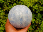 Polished Large Blue Calcite Sphere with Wood Stand x 1 From Madagascar