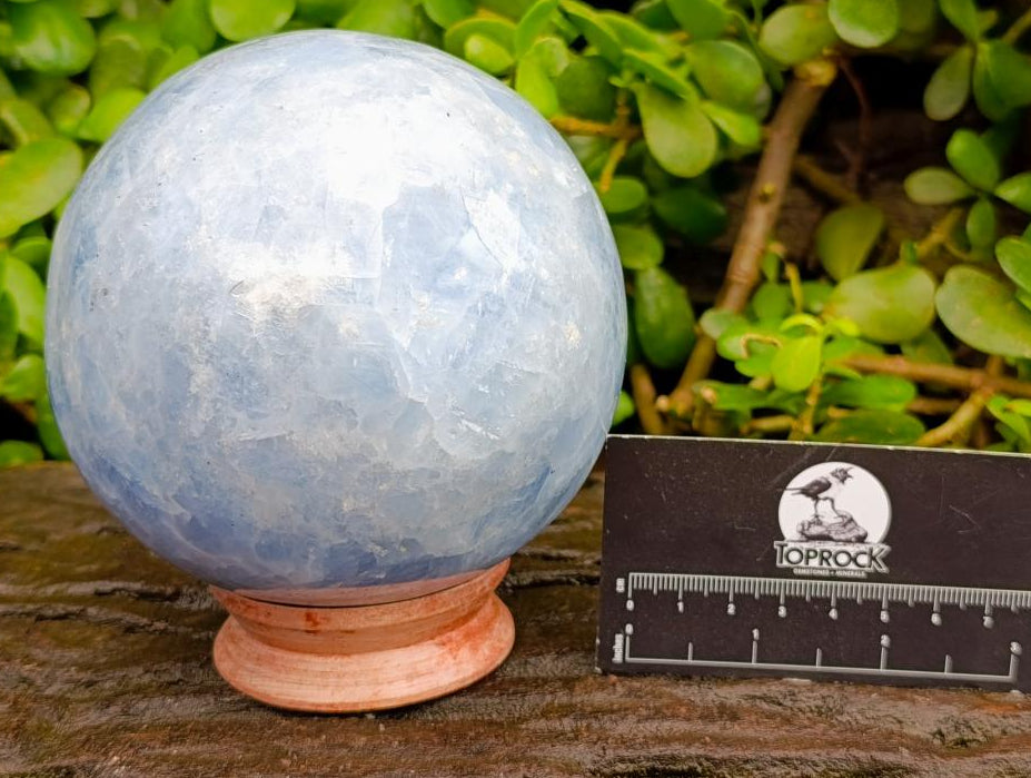 Polished Large Blue Calcite Sphere with Wood Stand x 1 From Madagascar