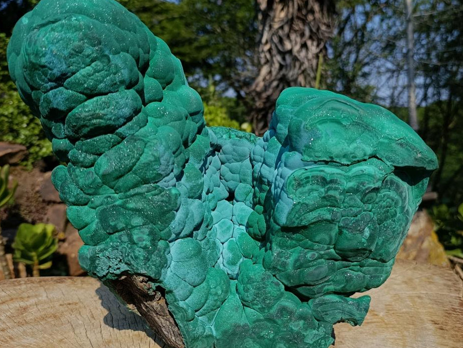 Natural XXL Botryoidal Malachite Specimen x 1 From Congo