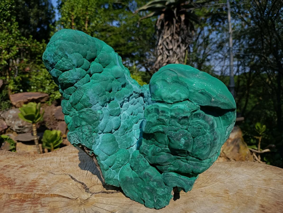 Natural XXL Botryoidal Malachite Specimen x 1 From Congo