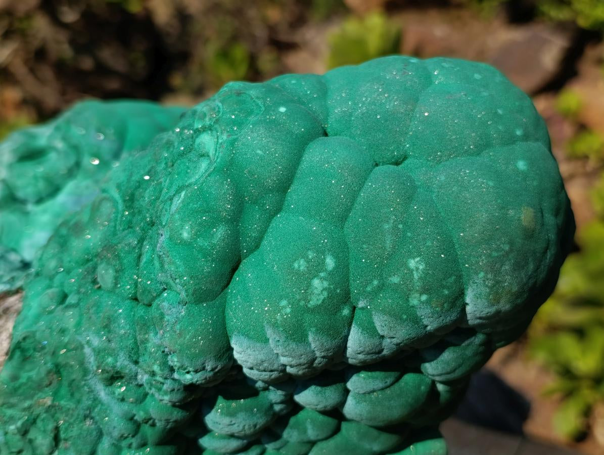Natural XXL Botryoidal Malachite Specimen x 1 From Congo