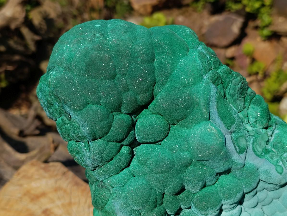 Natural XXL Botryoidal Malachite Specimen x 1 From Congo
