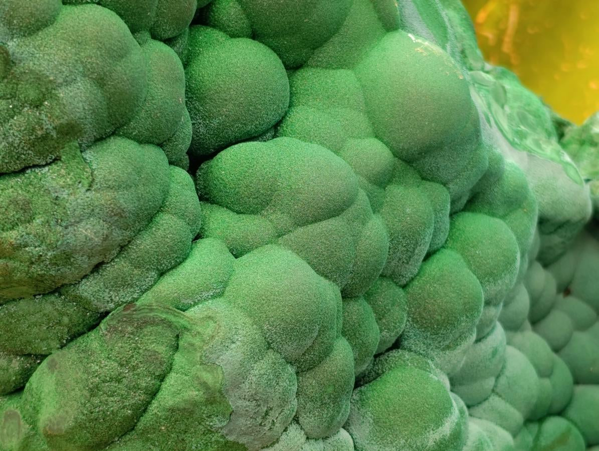 Natural XXL Botryoidal Malachite Specimen x 1 From Congo