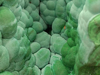 Natural XXL Botryoidal Malachite Specimen x 1 From Congo