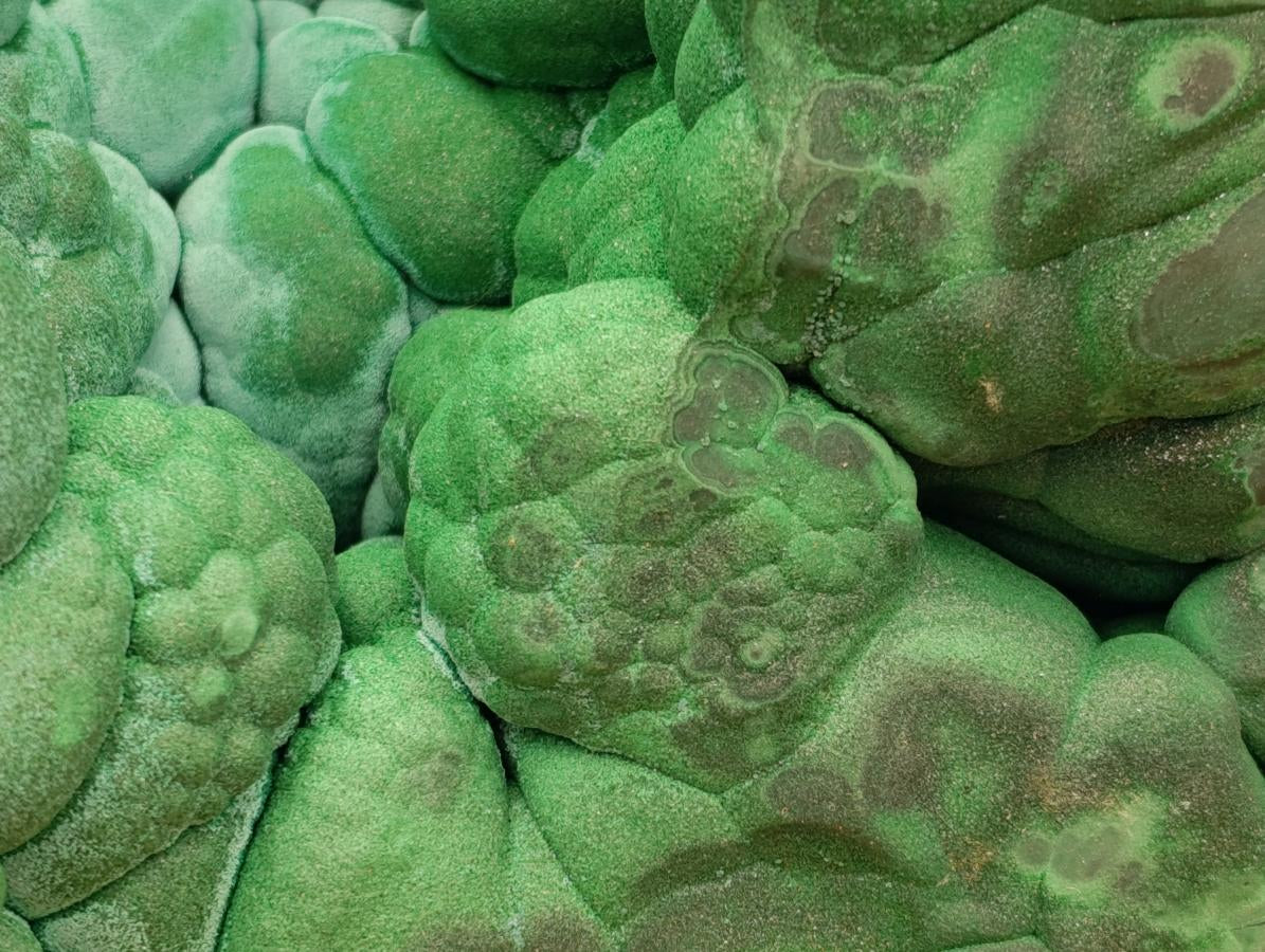 Natural XXL Botryoidal Malachite Specimen x 1 From Congo